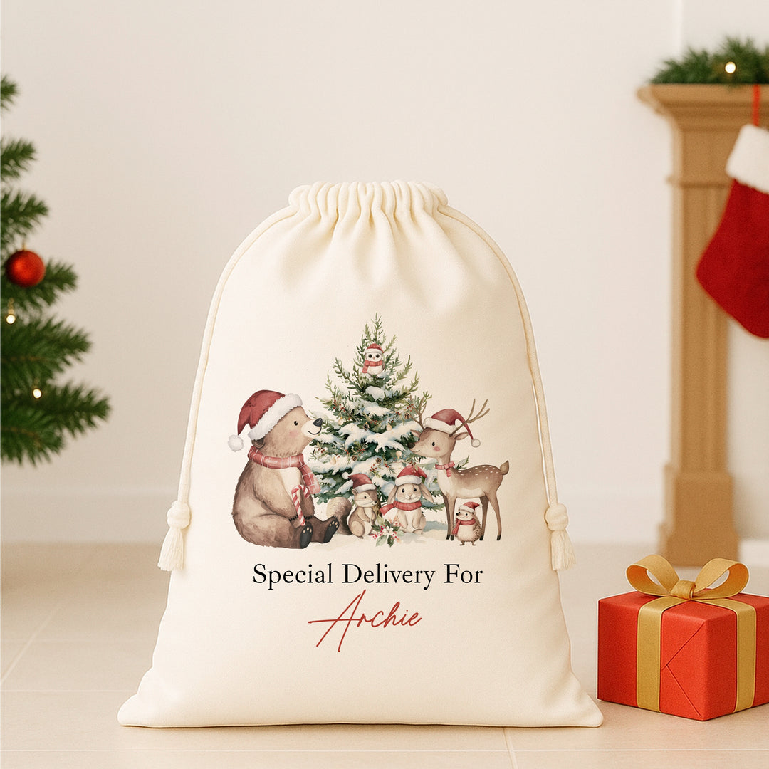 Personalised Bear Woodlands Christmas Santa Sack