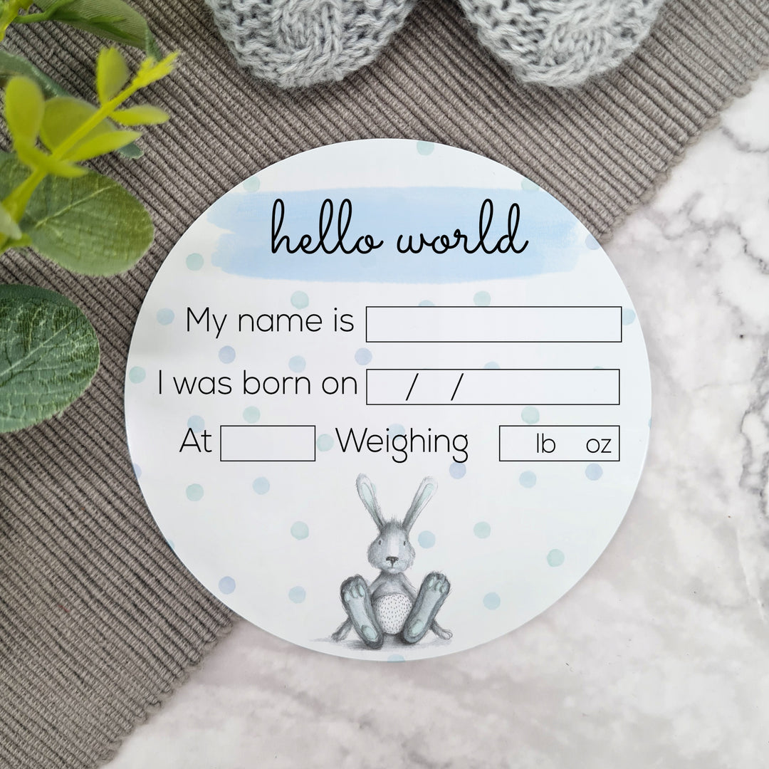 Personalised Hello World Blue Bunny Plaque