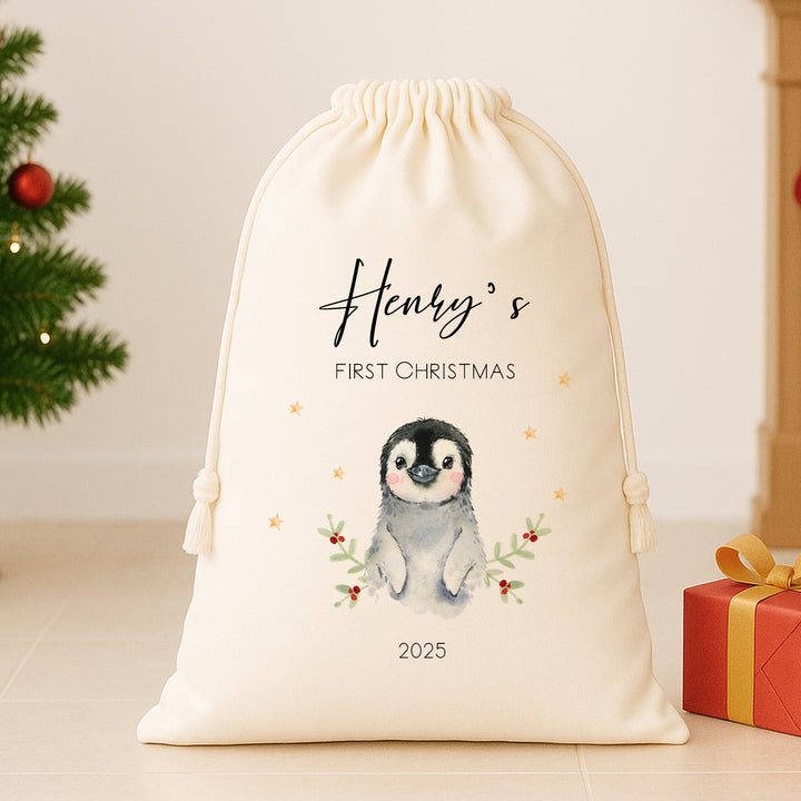 Personalised Little Penguin Santa Sack