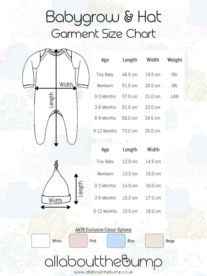 I'm the Big Brother / Baby Matching Sibling Outfits