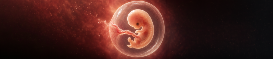 5 Weeks Pregnant: Your Tiny Baby Is Growing Fast