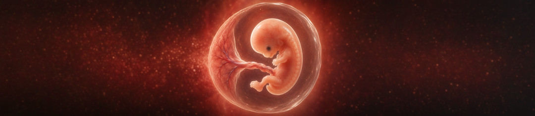 6 Weeks Pregnant: Your Baby Is Growing Quickly