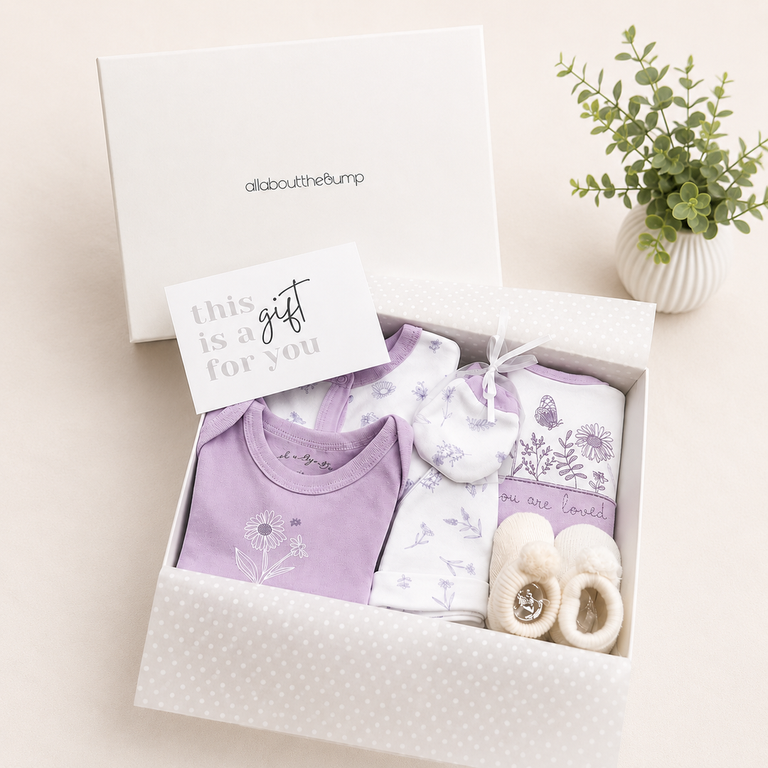 Girls Purple Butterfly Baby Hamper