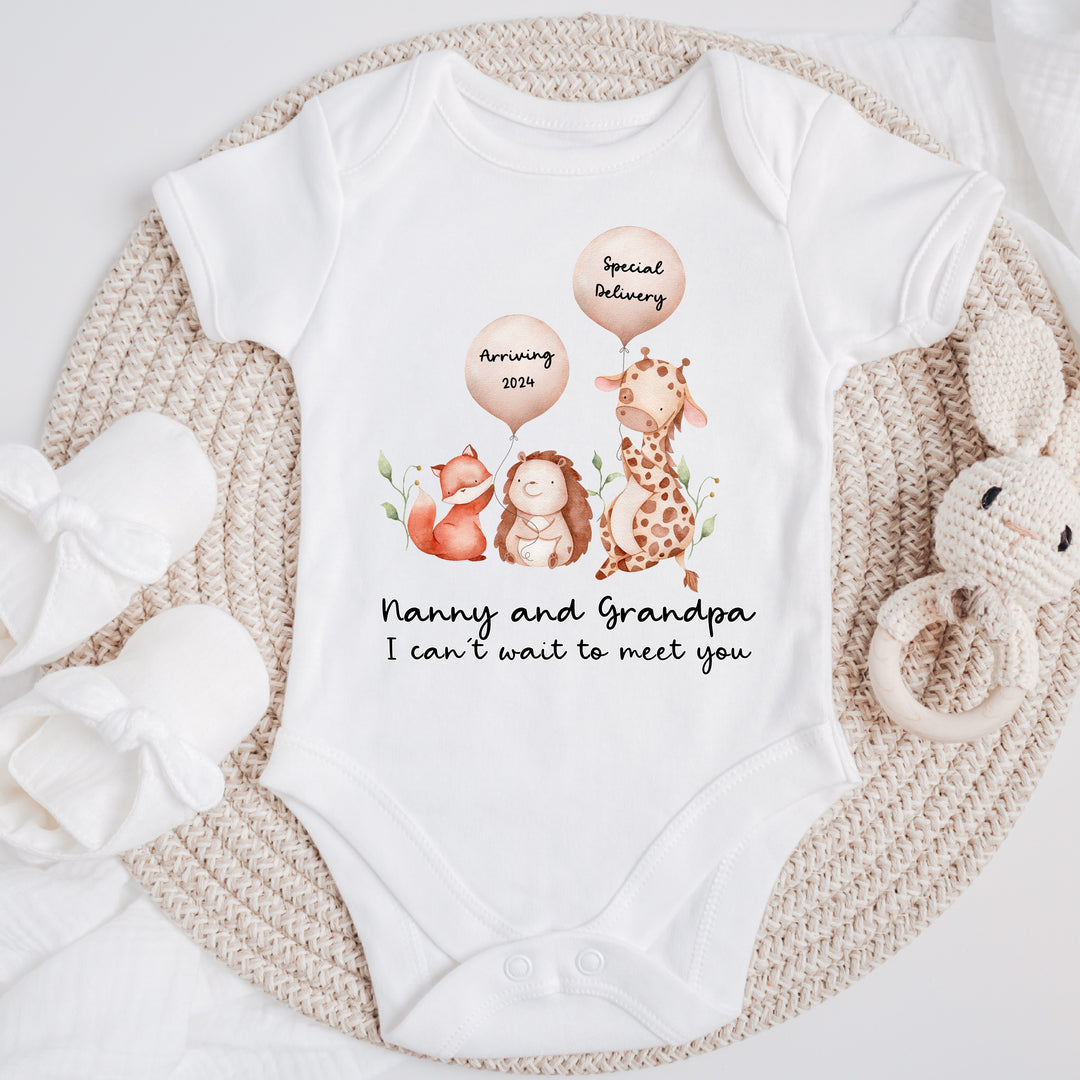 Baby announcement vests that says: Nanny and Grandpa I can't wait to meet you with a hedgehod holding a balloon saying arriving 2024 and a giraffe holding a balloon saying Special Delivery
