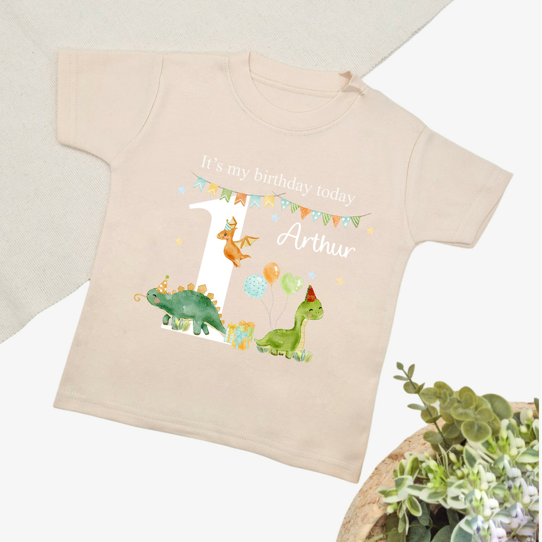 Personalised Dinosaur Party Birthday T-shirt