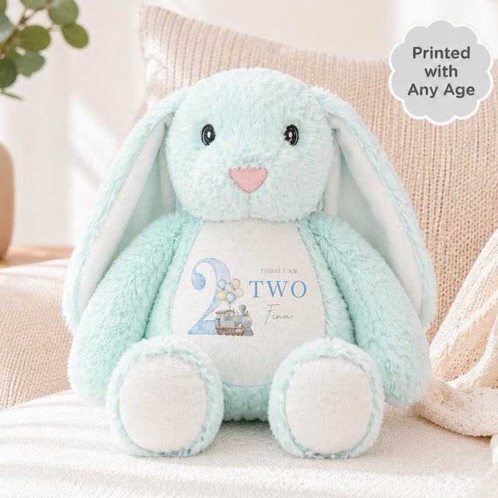 Personalised Blue Train Any Age Birthday Teddy