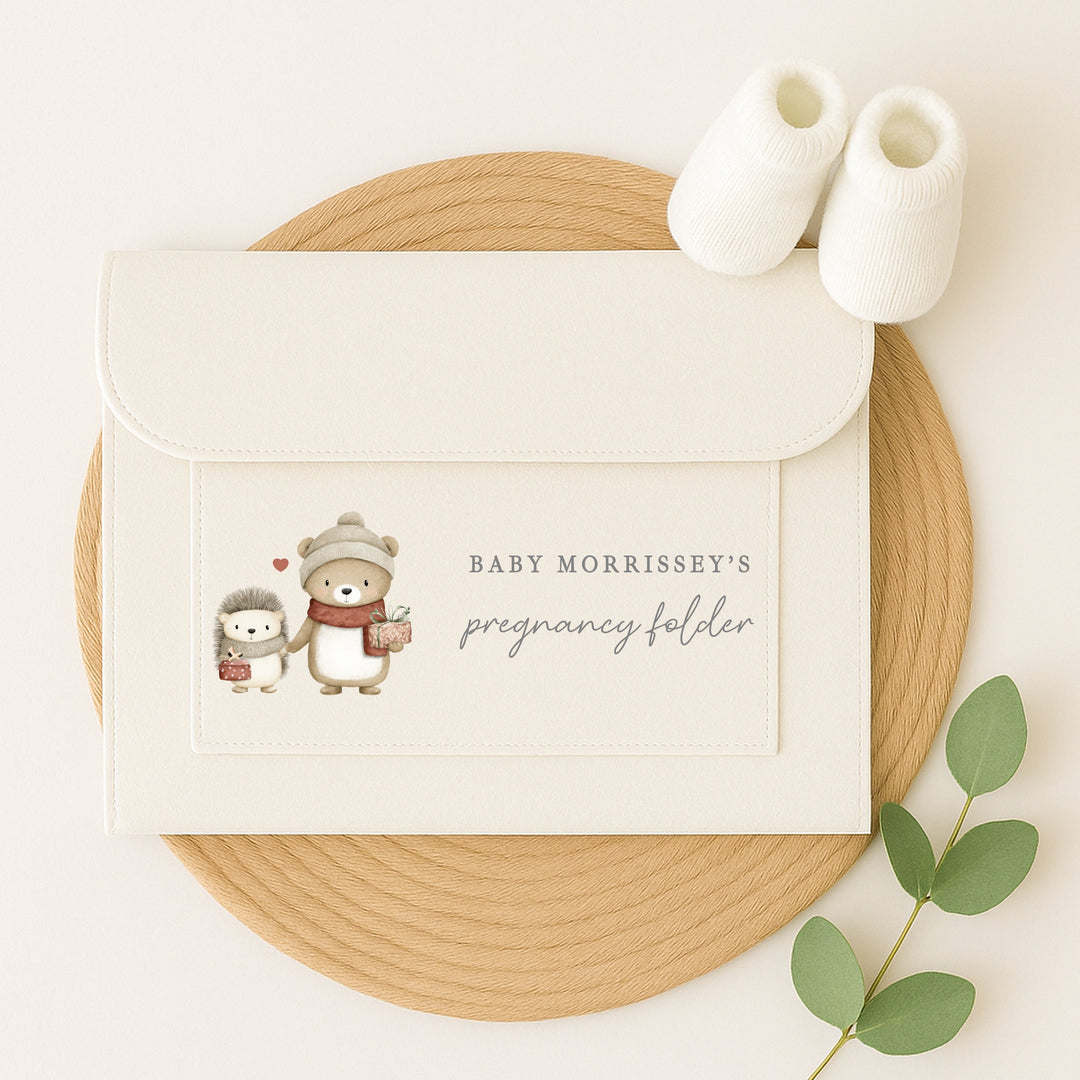 Personalised Hedgehog Maternity/Pregnancy Notes Folder
