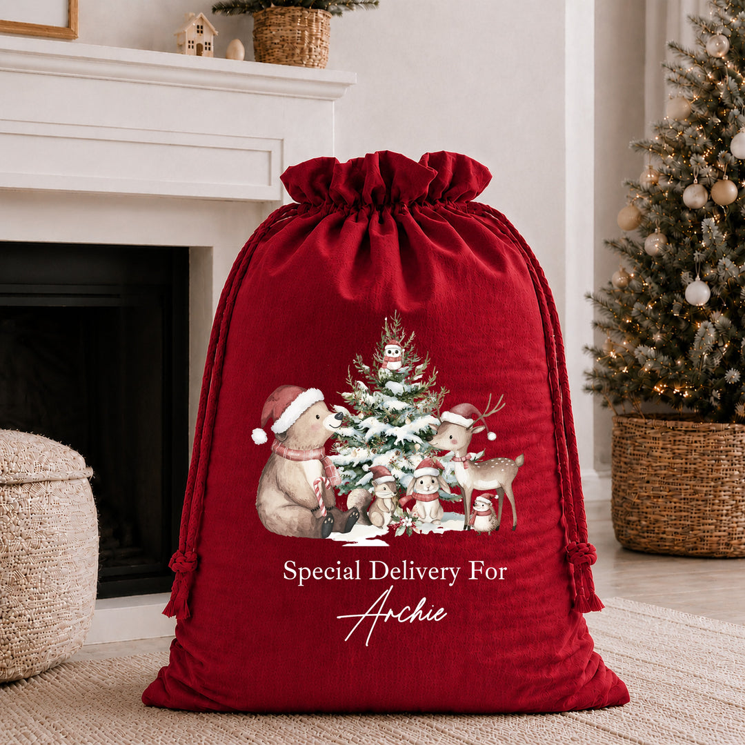 Personalised Woodland Bears My First Christmas Santa Sack or Stocking