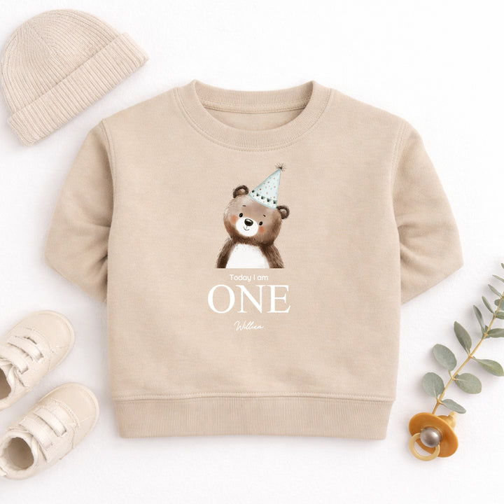 Personalised Bear Party Hat Today I Am One First Birthday Jumper