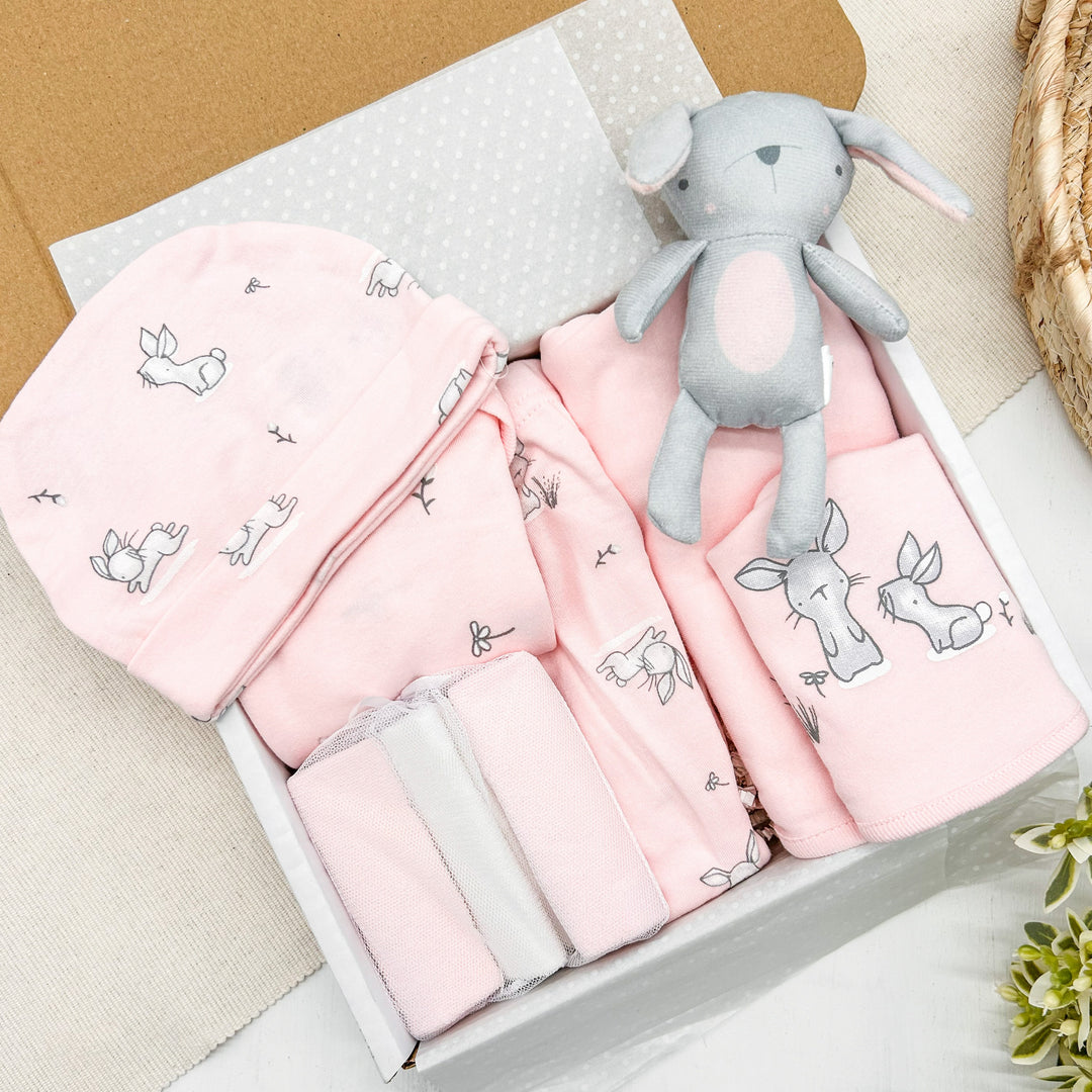 10 Piece Pink Baby Girl Gift Hamper