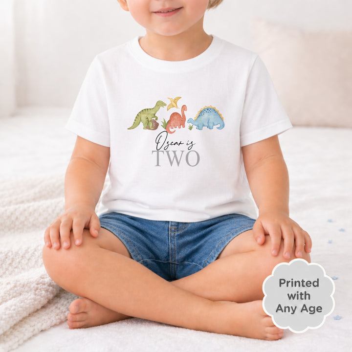 Personalised Dinosaur Any Age Birthday T-shirt