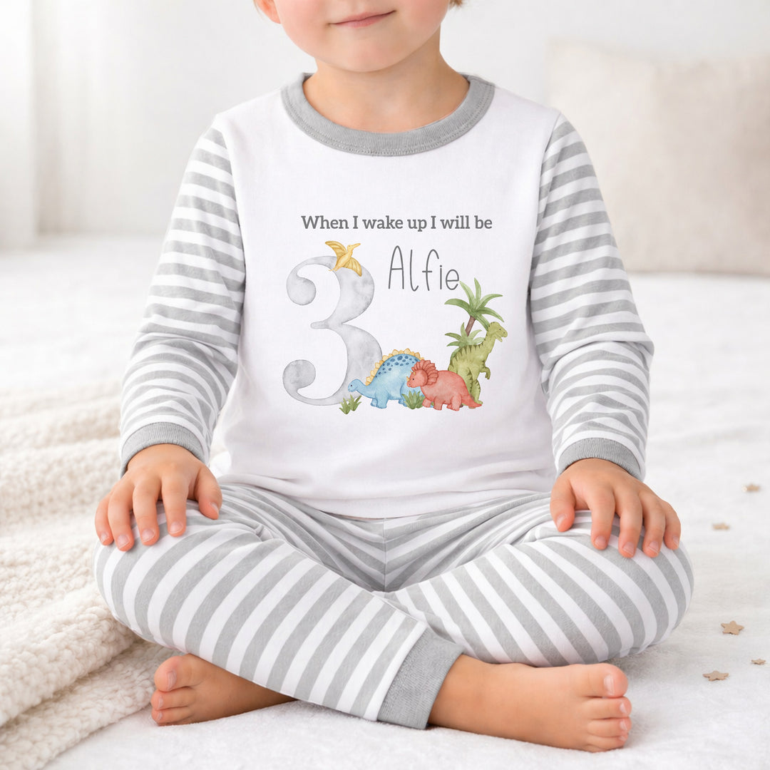 Personalised Grey Dinosaur Any Age Birthday Pyjamas