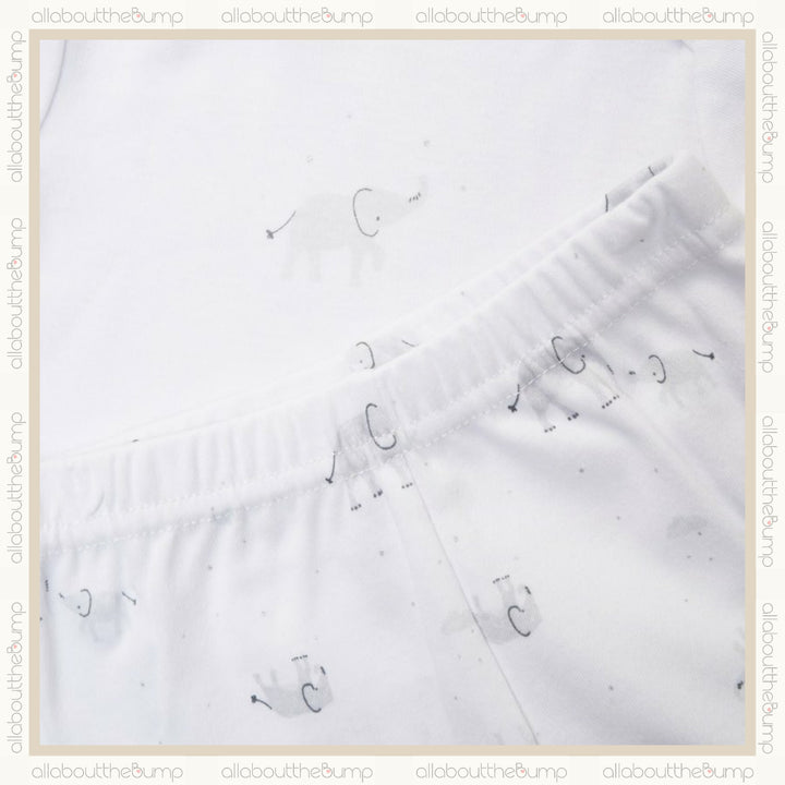 Unisex Elephant 10 Piece Baby Gift Hamper
