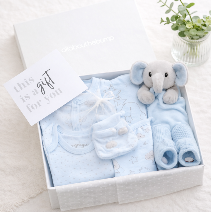 Blue Elephant and Comforter Boys Gift Hamper