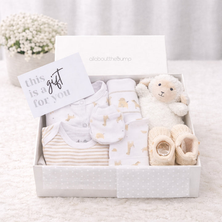 Unisex Beige Safari and Comforter Gift Hamper