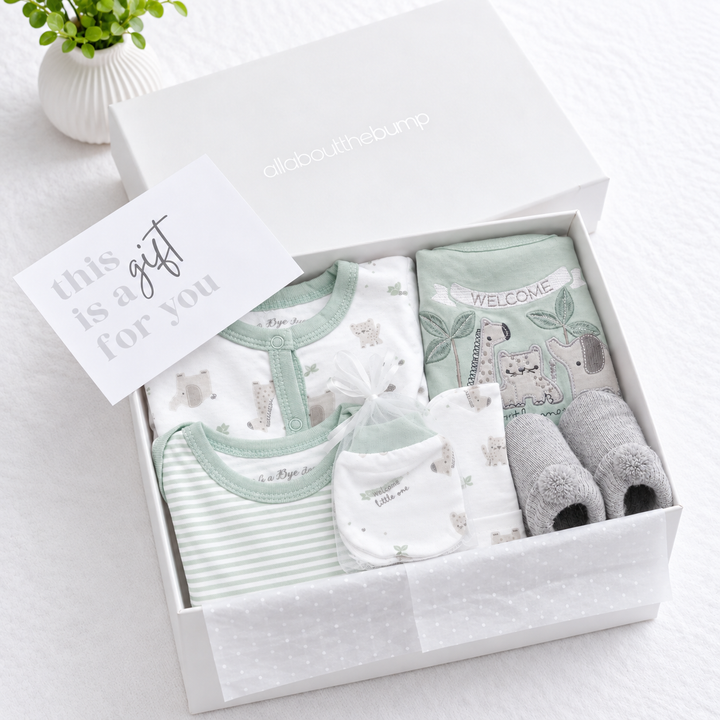 Sage Green Animals Boys Baby Hamper