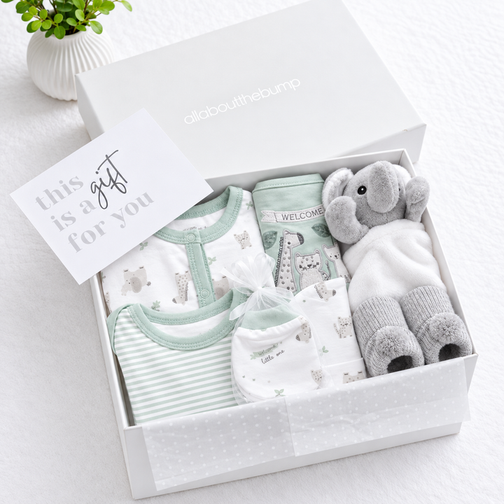 Sage Green Animals and Comforter Boys Baby Hamper