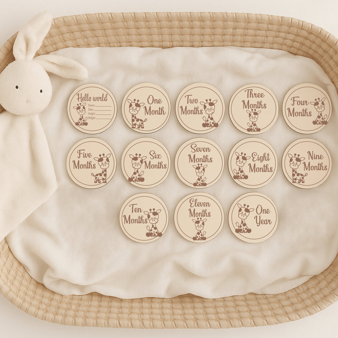 Hello World Giraffe Baby Milestone Wooden Plaque Set