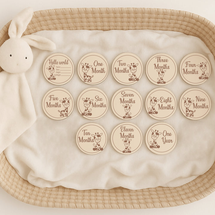 Hello World Giraffe Baby Milestone Wooden Plaque Set