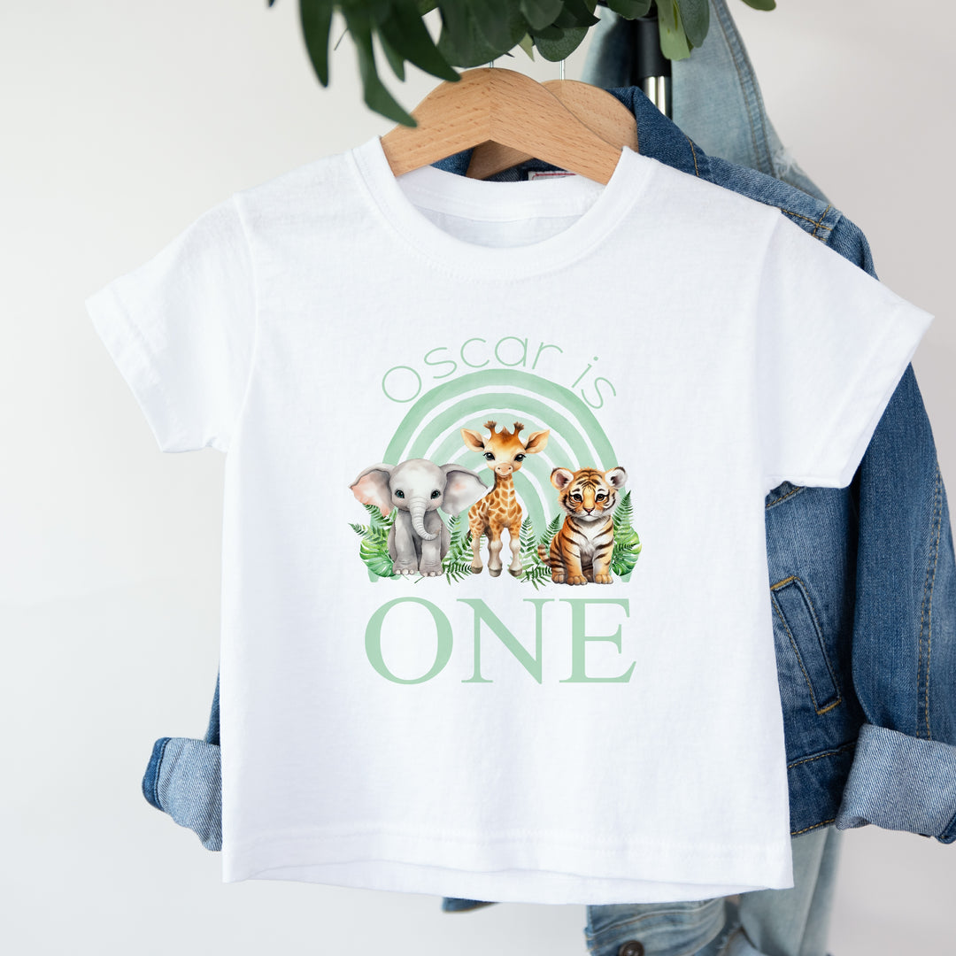 Personalised Green Jungle Rainbow Birthday T-shirt