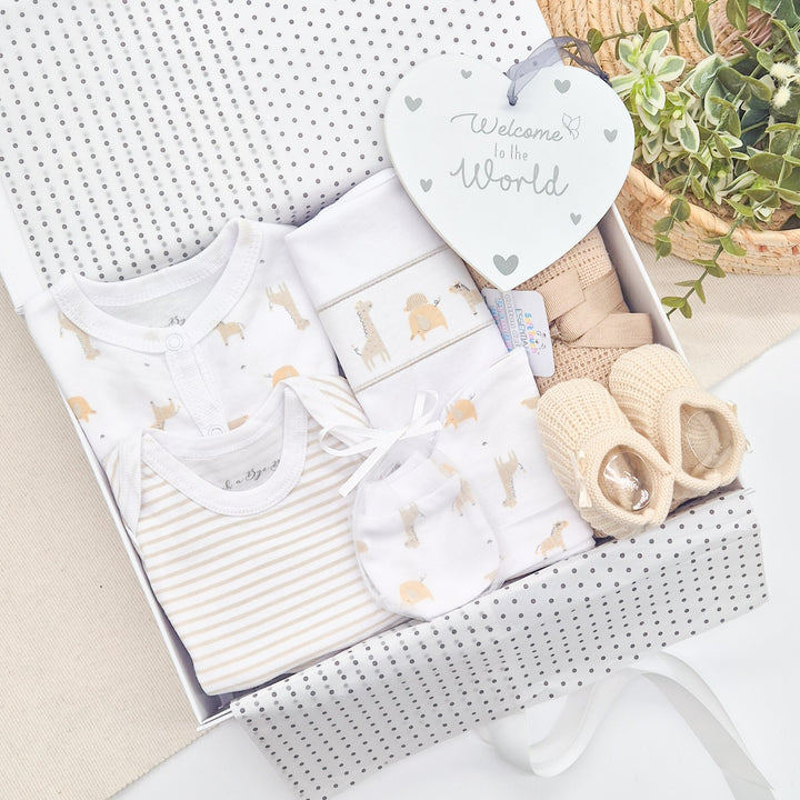 Unisex Beige Safari Luxury Gift Hamper Set