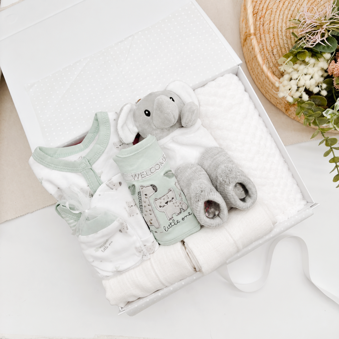 Sage Green Animals Boys Luxury Baby Hamper
