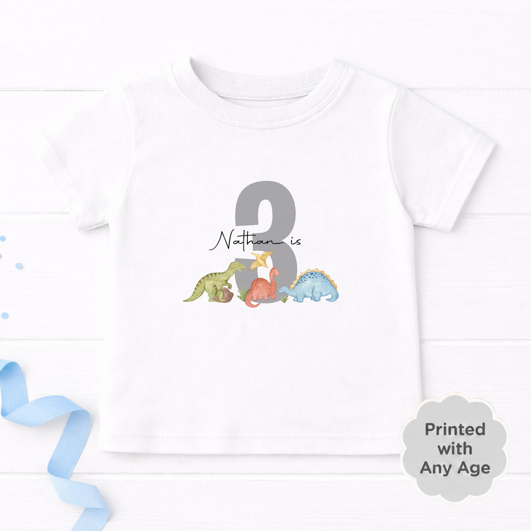 Personalised Grey Dinosaur Any Age Birthday T-Shirt
