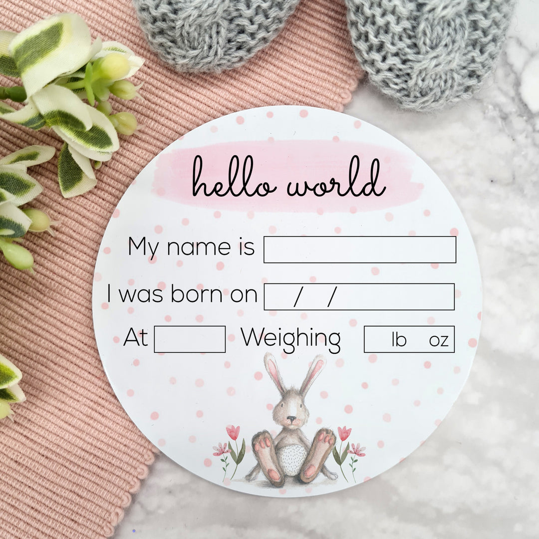 Personalised Hello World Pink Bunny Plaque