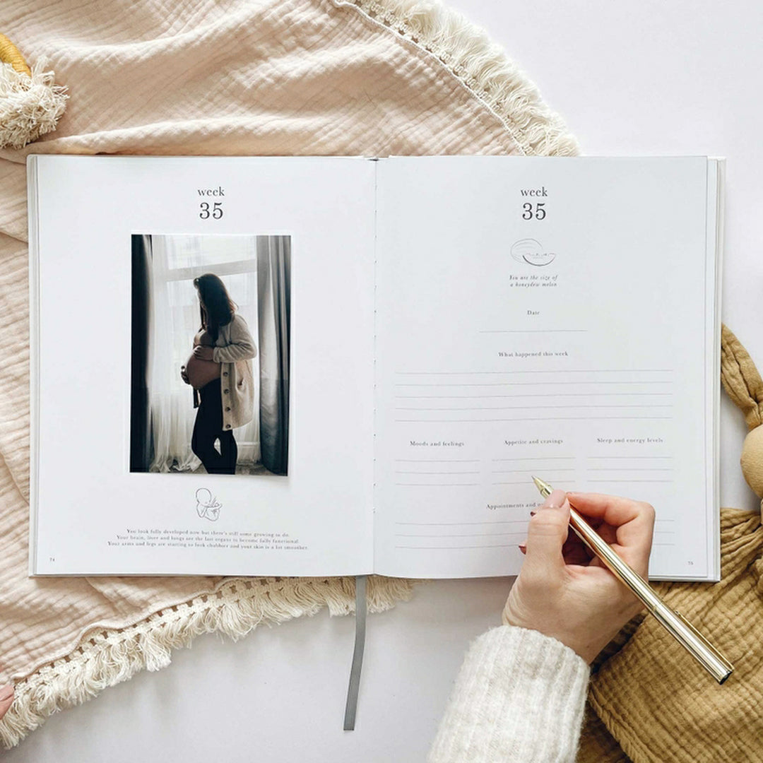 Gold Rainbow Pregnancy Journal (1306)