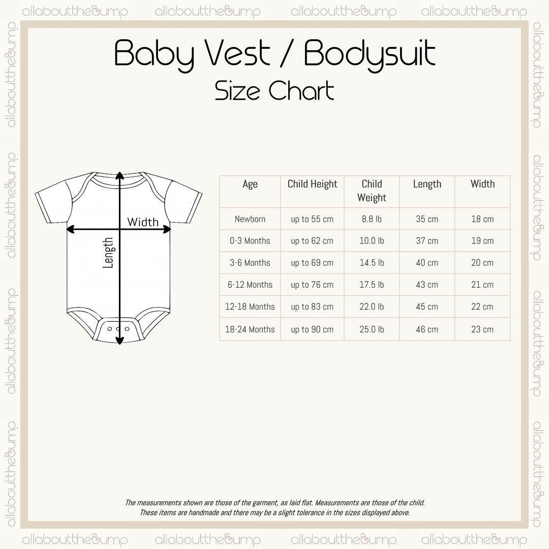 Personalised Papa Bear and Baby Bear Matching T-shirt/Vest