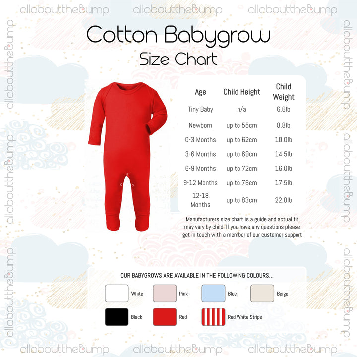 Personalised Hot Air Balloon Babygrow/Vest