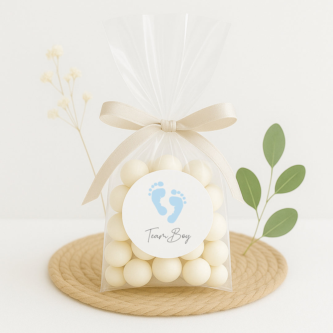 Team Boy/Girl Gender Reveal Stickers