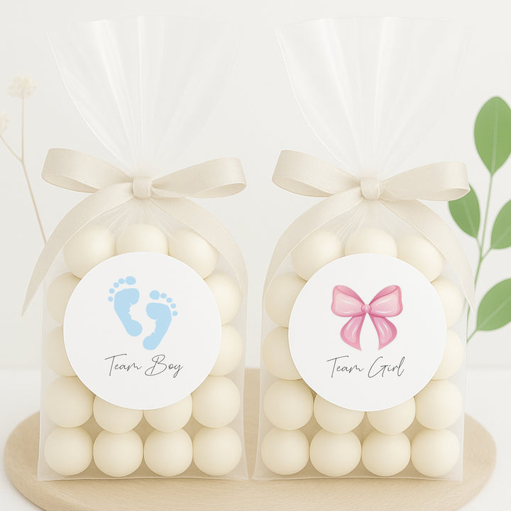 Team Boy/Girl Gender Reveal Stickers