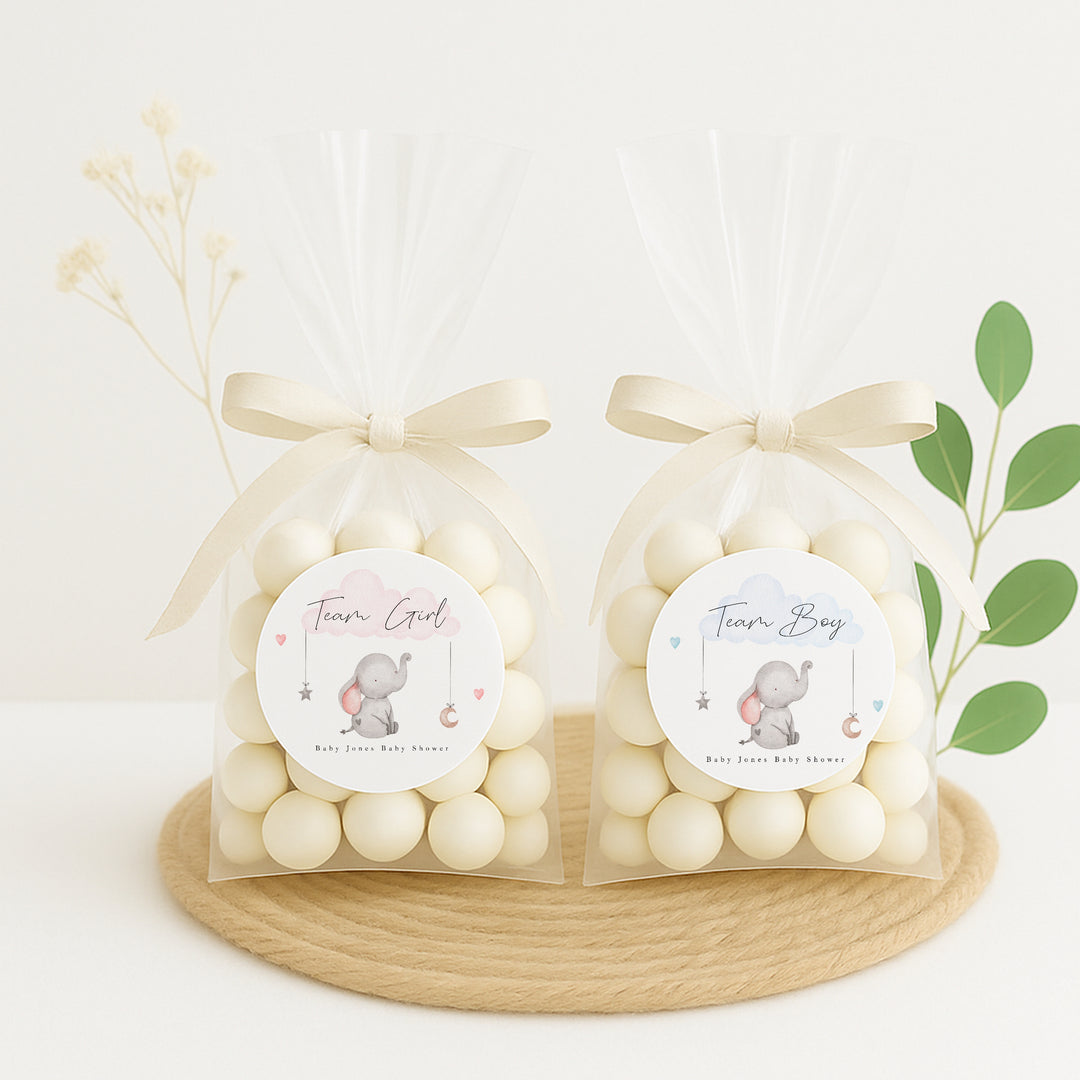 Team Boy/Girl Elephant Gender Reveal Stickers