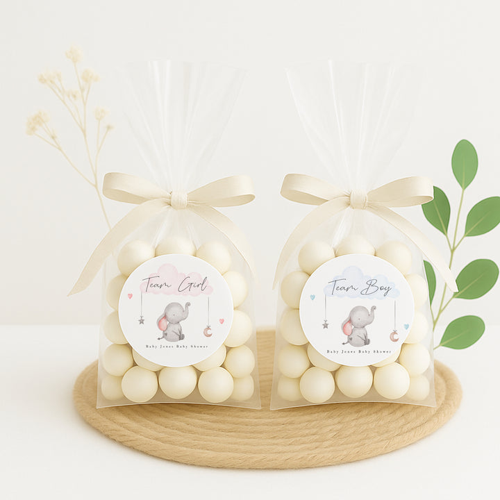 Team Boy/Girl Elephant Gender Reveal Stickers