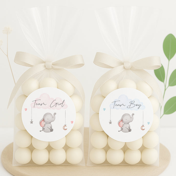 Team Boy/Girl Elephant Gender Reveal Stickers