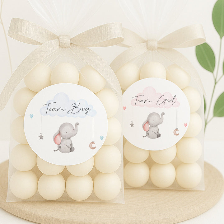 Team Boy/Girl Elephant Gender Reveal Stickers