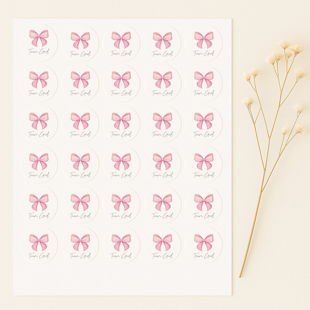 Team Boy/Girl Gender Reveal Stickers