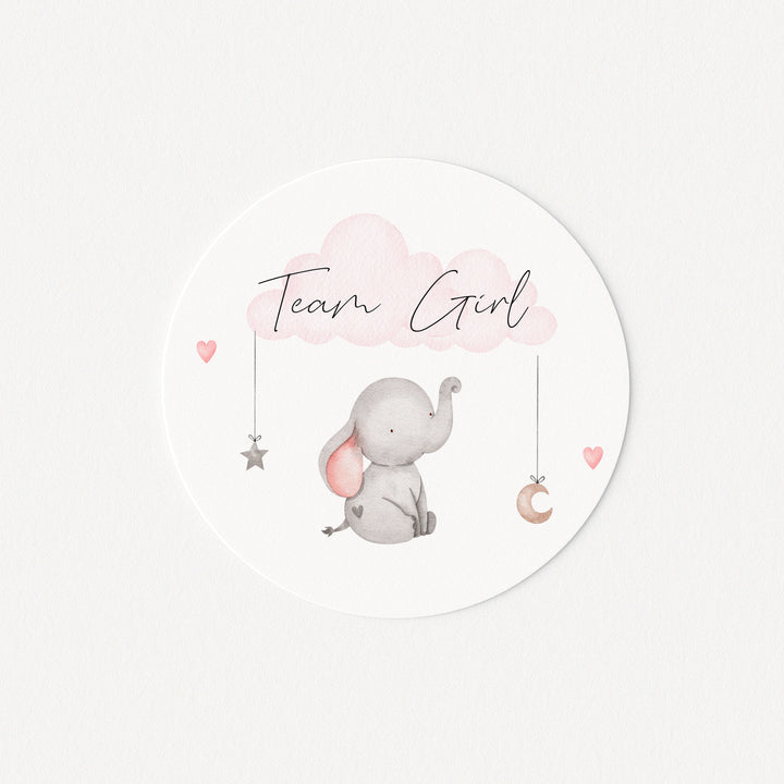 Team Boy/Girl Elephant Gender Reveal Stickers