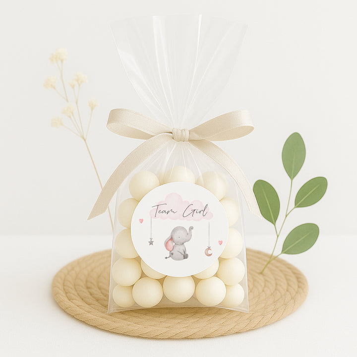 Team Boy/Girl Elephant Gender Reveal Stickers
