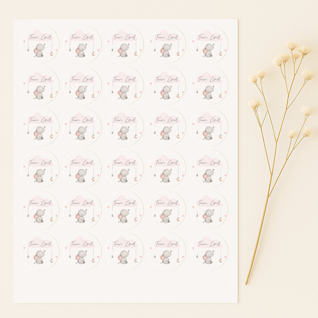 Team Boy/Girl Elephant Gender Reveal Stickers