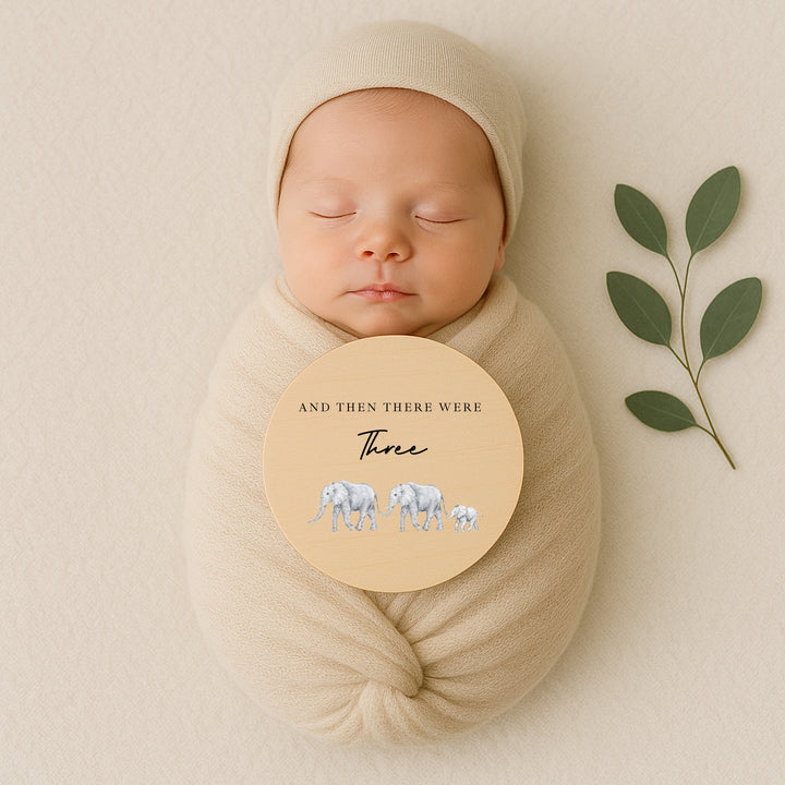 And Then There Were Three Baby Wooden Announcement Plaque