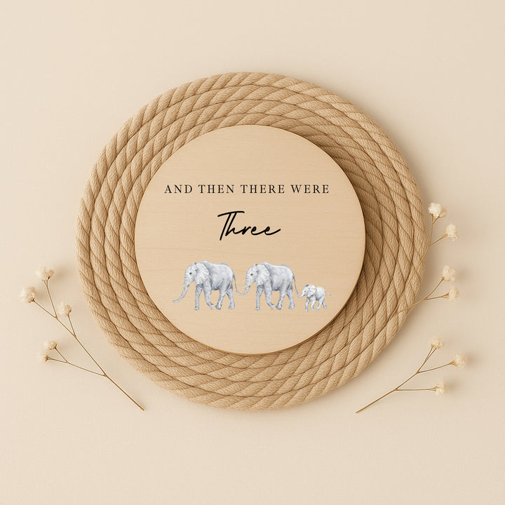 And Then There Were Three Baby Wooden Announcement Plaque