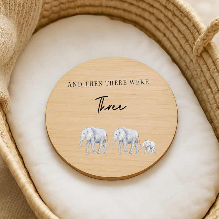 And Then There Were Three Baby Wooden Announcement Plaque