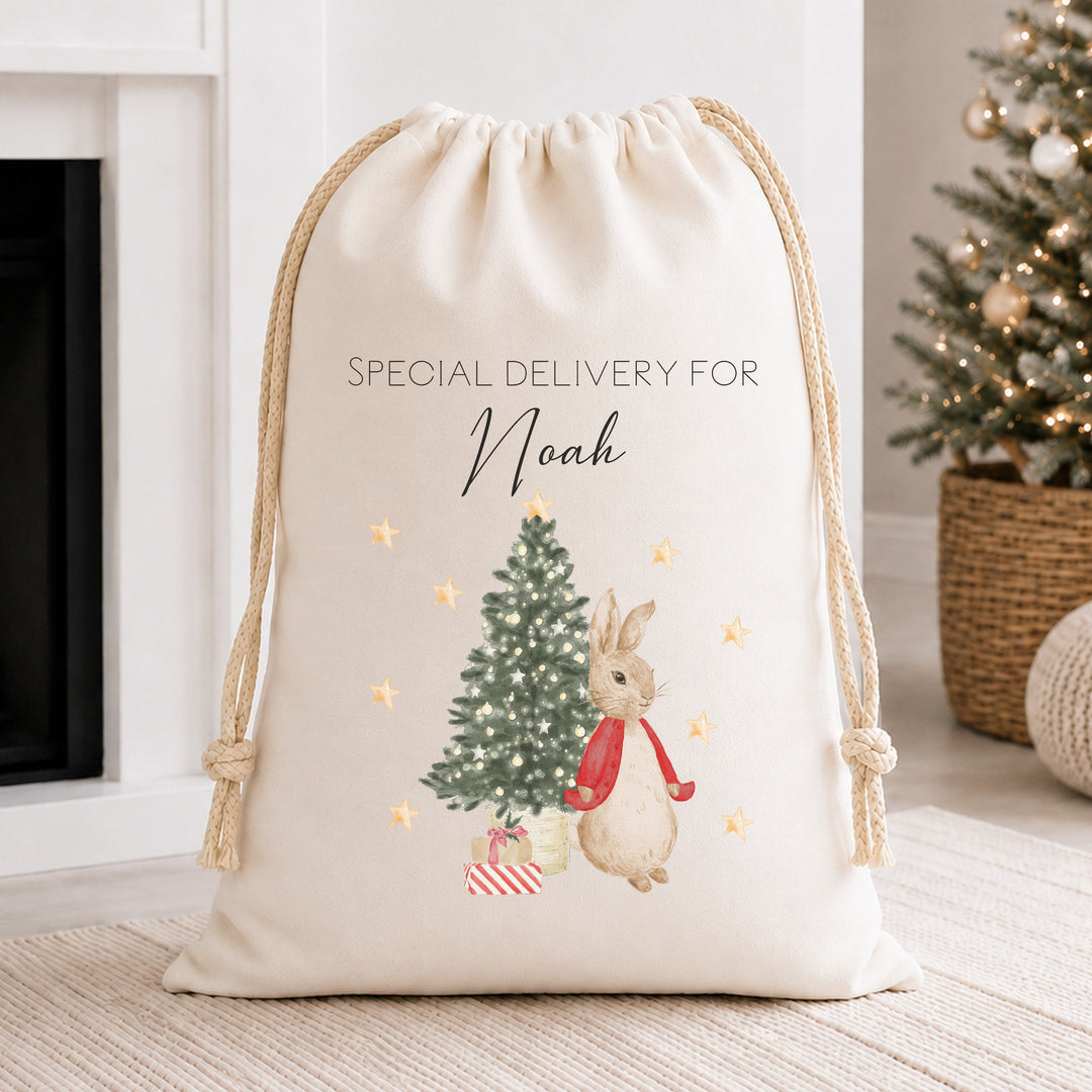 Personalised Red, Pink Or Blue Rabbit Christmas Canvas Santa Sack