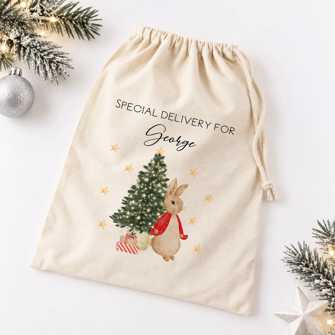 Personalised Red, Pink Or Blue Rabbit Christmas Canvas Santa Sack