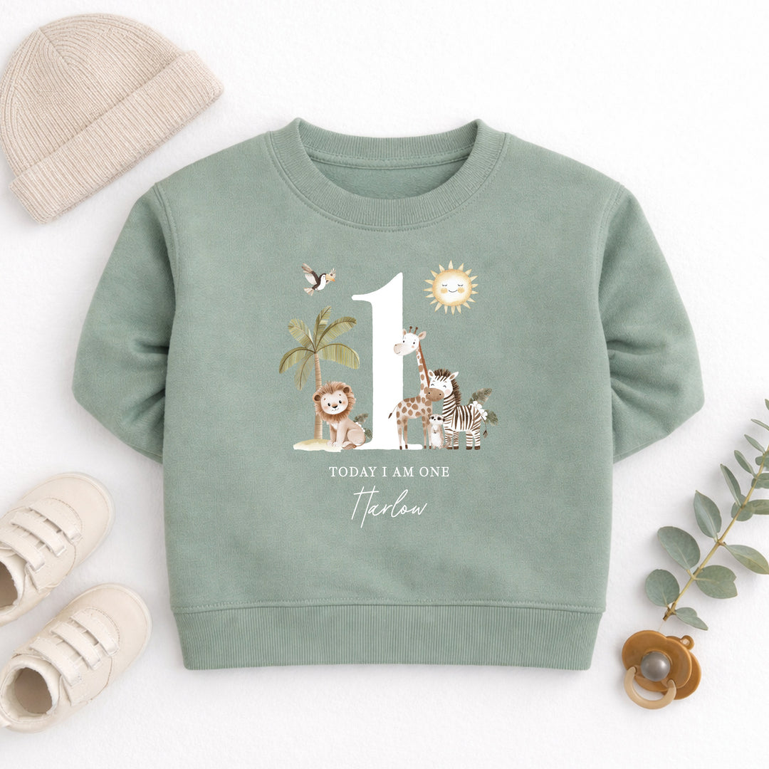 Personalised Safari Jungle Today I Am One First Birthday Jumper