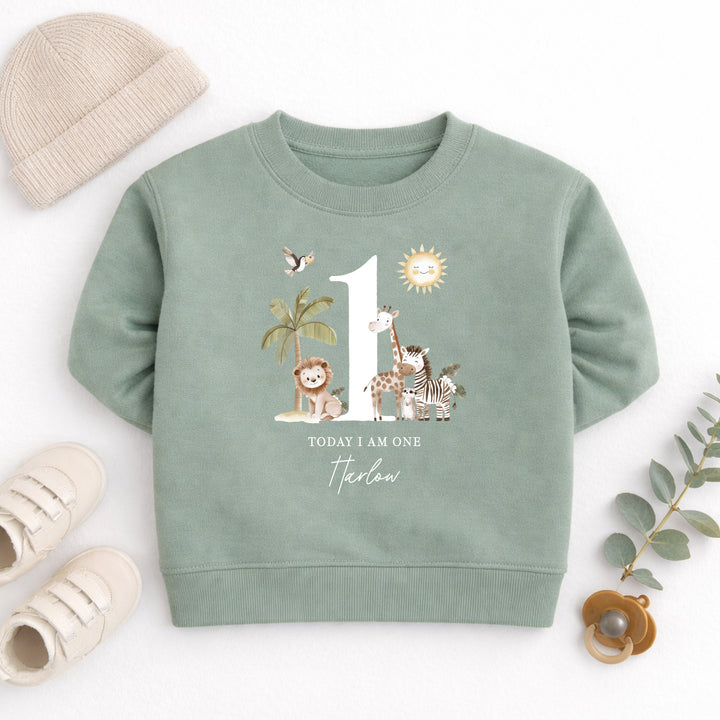 Personalised Safari Jungle Today I Am One First Birthday Jumper