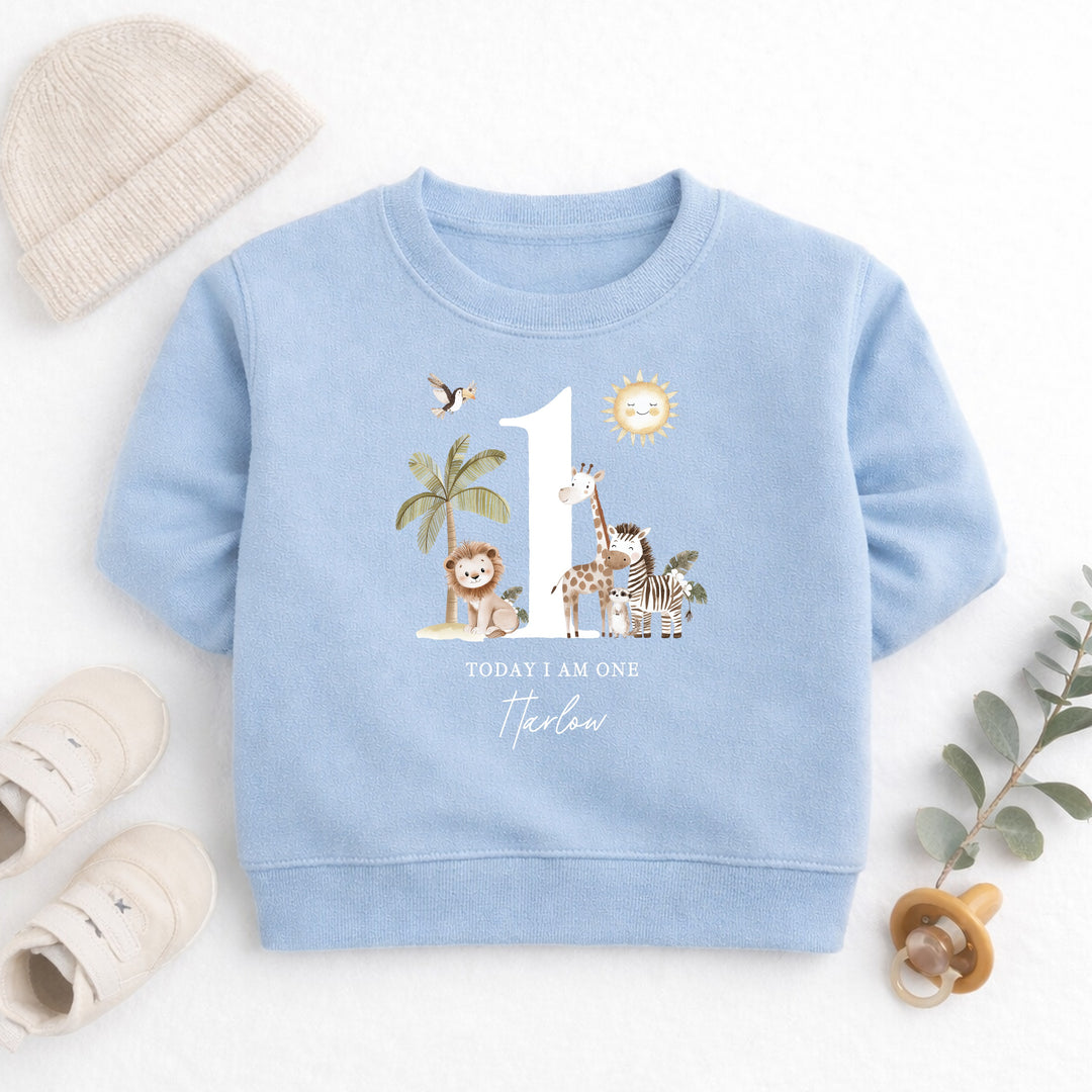Personalised Safari Jungle Today I Am One First Birthday Jumper