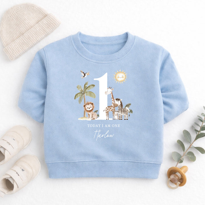 Personalised Safari Jungle Today I Am One First Birthday Jumper